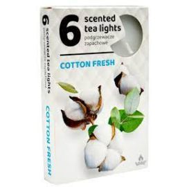 Admit Cotton Fresh čajové vonné sviečky 6ks
