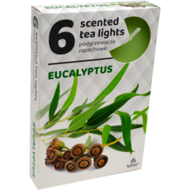 Admit Eucalyptus čajové vonné sviečky 6ks
